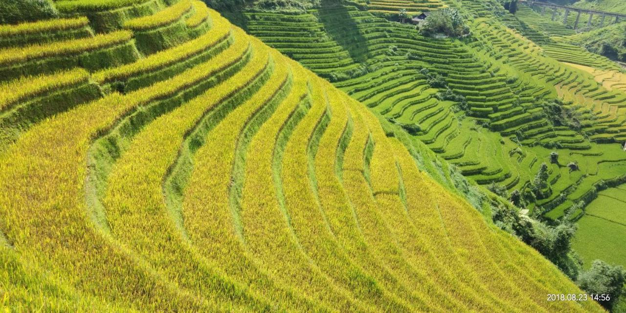 Dzay House Homestay Sapa Dış mekan fotoğraf